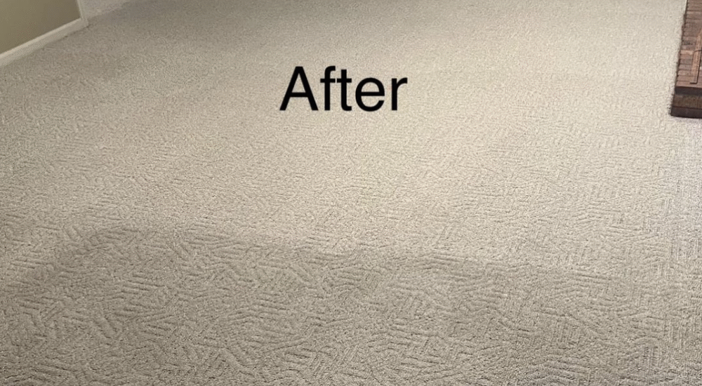 encapsulation carpet cleaning before and after